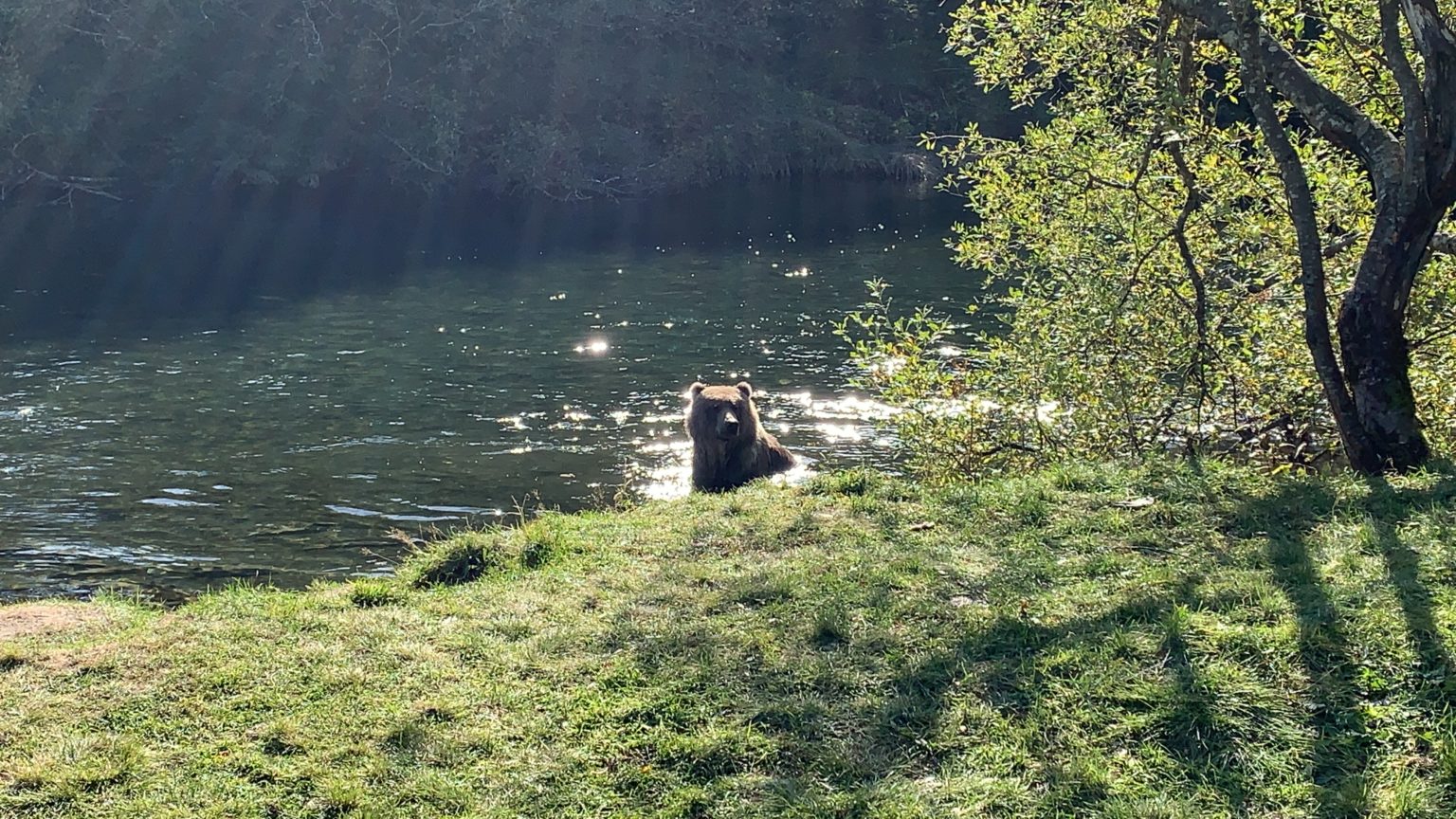 Natives of Kodiak, Inc. An Alaska Native Corporation