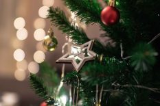 pexels-gantas-vaičiulėnas-3353968